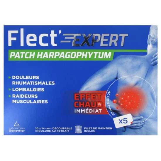 Flet Expert Patch Harpagophytum Boite De 5 1 Flet Expert Patch Harpagophytum Boite De 5