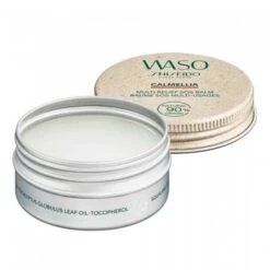 Shiseido Baume Multi Usage 20 Grammes